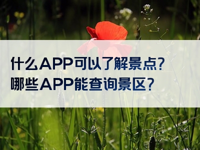 什么APP可以了解景点？哪些APP能查询景区？