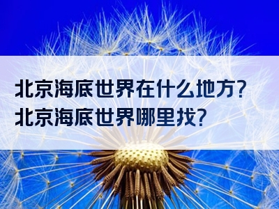 北京海底世界在什么地方？北京海底世界哪里找？