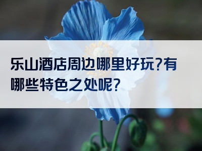 乐山酒店周边哪里好玩？有哪些特色之处呢？