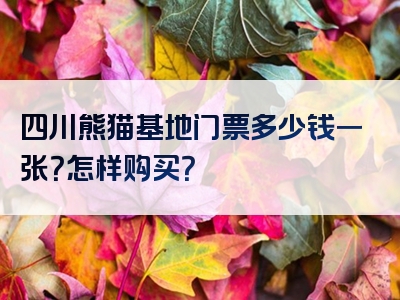 四川熊猫基地门票多少钱一张？怎样购买？