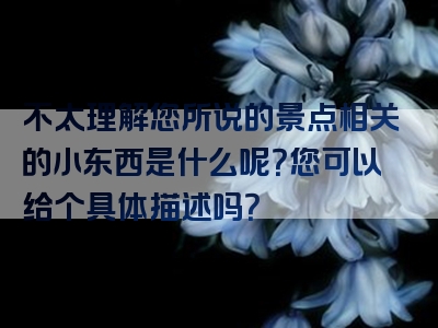 不太理解您所说的景点相关的小东西是什么呢？您可以给个具体描述吗？