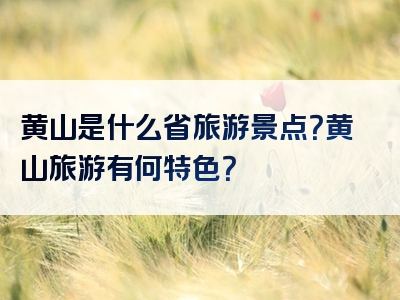 黄山是什么省旅游景点？黄山旅游有何特色？