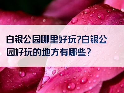 白银公园哪里好玩？白银公园好玩的地方有哪些？