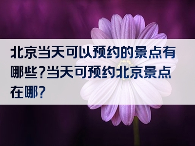 北京当天可以预约的景点有哪些？当天可预约北京景点在哪？