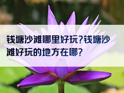 钱塘沙滩哪里好玩？钱塘沙滩好玩的地方在哪？