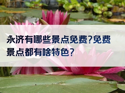 永济有哪些景点免费？免费景点都有啥特色？