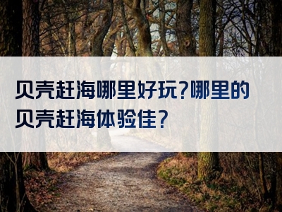 贝壳赶海哪里好玩？哪里的贝壳赶海体验佳？