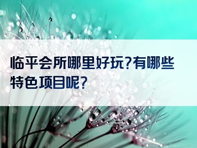 临平会所哪里好玩？有哪些特色项目呢？