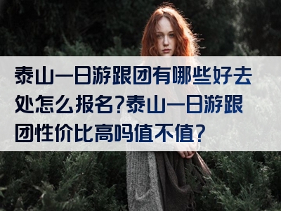 泰山一日游跟团有哪些好去处怎么报名？泰山一日游跟团性价比高吗值不值？
