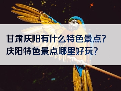 甘肃庆阳有什么特色景点？庆阳特色景点哪里好玩？