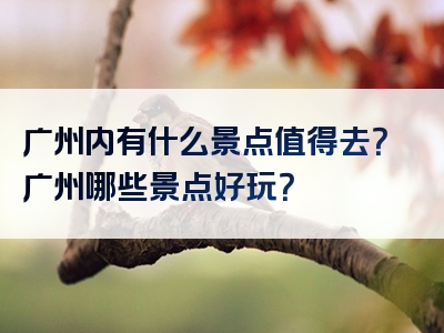 广州内有什么景点值得去？广州哪些景点好玩？