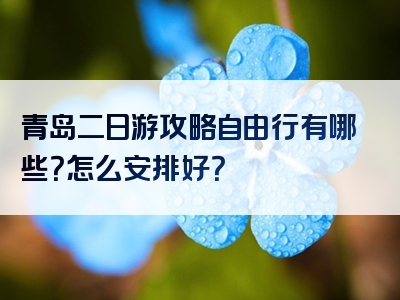 青岛二日游攻略自由行有哪些？怎么安排好？