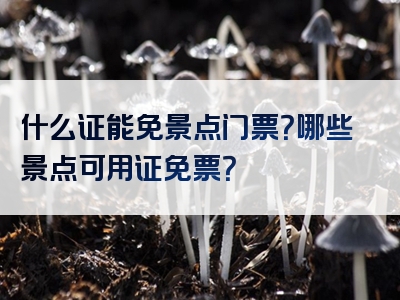 什么证能免景点门票？哪些景点可用证免票？