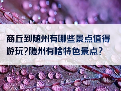 商丘到随州有哪些景点值得游玩？随州有啥特色景点？