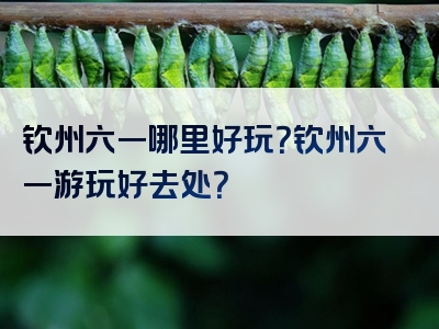 钦州六一哪里好玩？钦州六一游玩好去处？