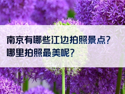 南京有哪些江边拍照景点？哪里拍照最美呢？