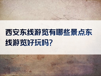 西安东线游览有哪些景点东线游览好玩吗？