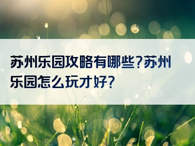 苏州乐园攻略有哪些？苏州乐园怎么玩才好？