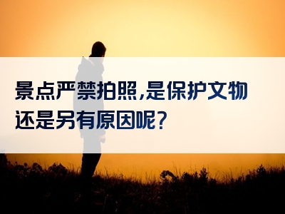 景点严禁拍照，是保护文物还是另有原因呢？