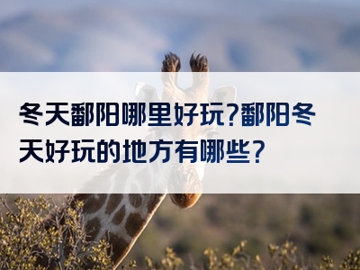 冬天鄱阳哪里好玩？鄱阳冬天好玩的地方有哪些？
