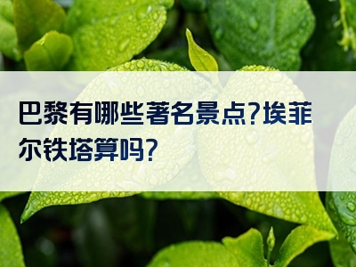 巴黎有哪些著名景点？埃菲尔铁塔算吗？