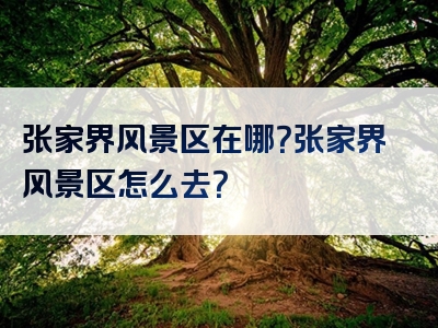 张家界风景区在哪？张家界风景区怎么去？