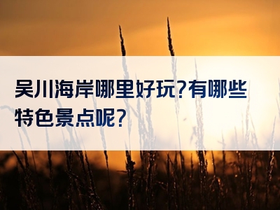 吴川海岸哪里好玩？有哪些特色景点呢？