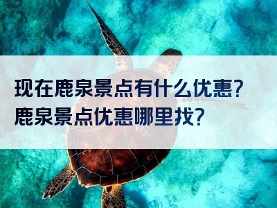 现在鹿泉景点有什么优惠？鹿泉景点优惠哪里找？