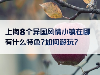 上海8个异国风情小镇在哪有什么特色？如何游玩？