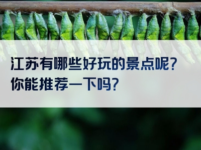 江苏有哪些好玩的景点呢？你能推荐一下吗？