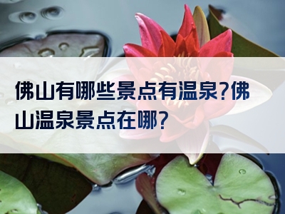 佛山有哪些景点有温泉？佛山温泉景点在哪？