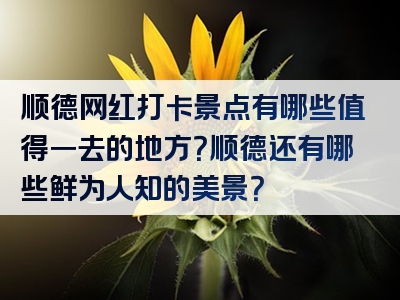 顺德网红打卡景点有哪些值得一去的地方？顺德还有哪些鲜为人知的美景？