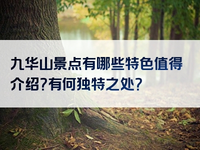 九华山景点有哪些特色值得介绍？有何独特之处？
