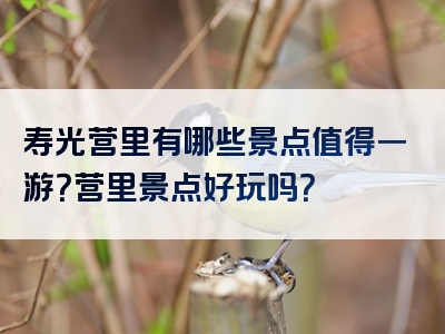 寿光营里有哪些景点值得一游？营里景点好玩吗？