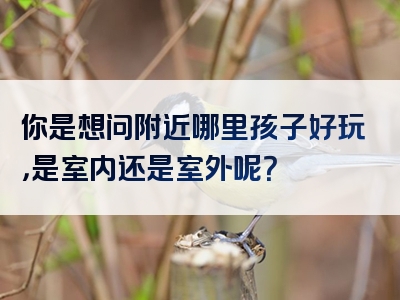 你是想问附近哪里孩子好玩，是室内还是室外呢？