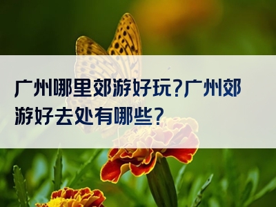 广州哪里郊游好玩？广州郊游好去处有哪些？