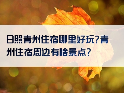日照青州住宿哪里好玩？青州住宿周边有啥景点？