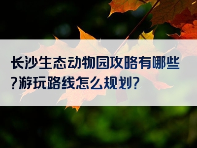 长沙生态动物园攻略有哪些？游玩路线怎么规划？