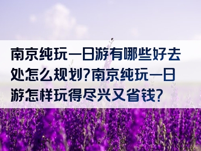 南京纯玩一日游有哪些好去处怎么规划？南京纯玩一日游怎样玩得尽兴又省钱？