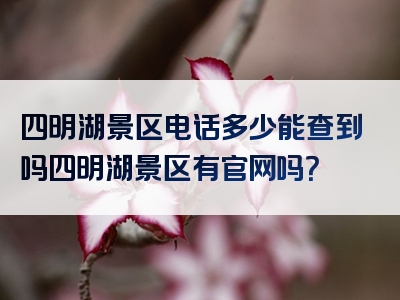 四明湖景区电话多少能查到吗四明湖景区有官网吗？