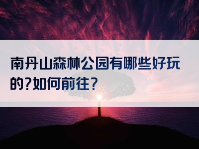 南丹山森林公园有哪些好玩的？如何前往？