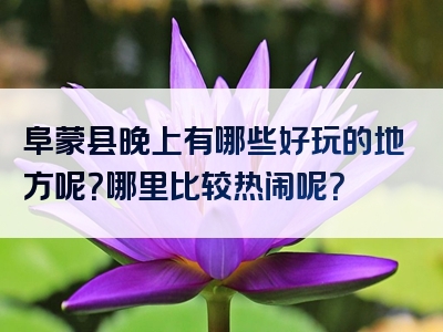 阜蒙县晚上有哪些好玩的地方呢？哪里比较热闹呢？