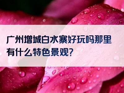 广州增城白水寨好玩吗那里有什么特色景观？