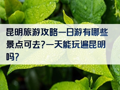 昆明旅游攻略一日游有哪些景点可去？一天能玩遍昆明吗？