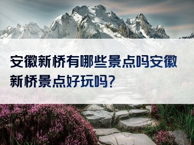 安徽新桥有哪些景点吗安徽新桥景点好玩吗？