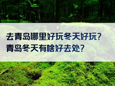 去青岛哪里好玩冬天好玩？青岛冬天有啥好去处？