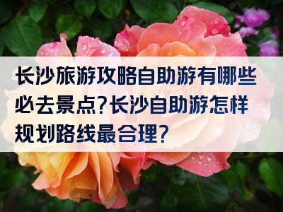 长沙旅游攻略自助游有哪些必去景点？长沙自助游怎样规划路线最合理？