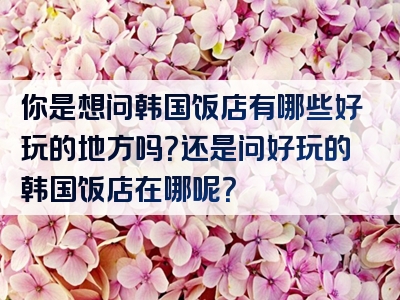 你是想问韩国饭店有哪些好玩的地方吗？还是问好玩的韩国饭店在哪呢？