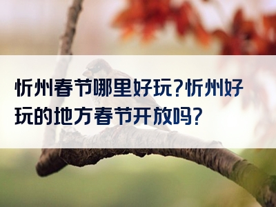 忻州春节哪里好玩？忻州好玩的地方春节开放吗？