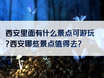 西安里面有什么景点可游玩？西安哪些景点值得去？